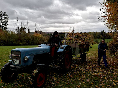 Titelbild Arbeitseinsatz Herbst
